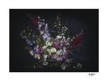 Winter's Jewels — Limited Edition A1 Print
