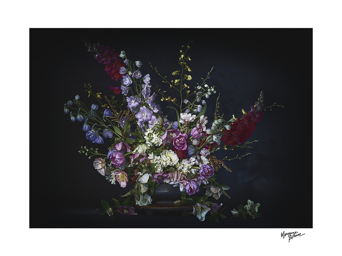 Winter's Jewels — Limited Edition A1 Print